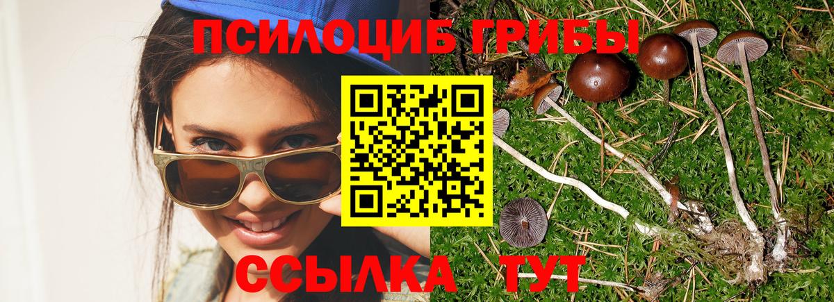 где купить   Псилоцибиновые грибы Psilocybe  Вход с VPN  Фролово 
