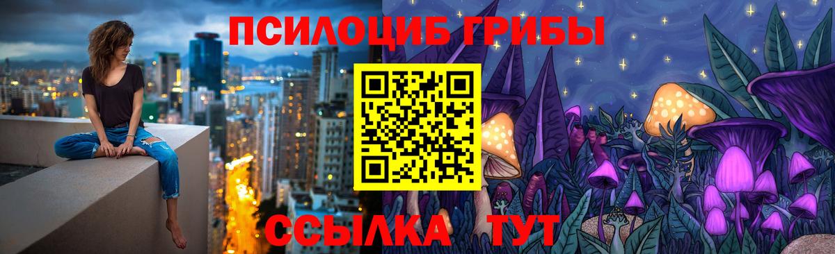 Псилоцибиновые грибы мицелий Фролово